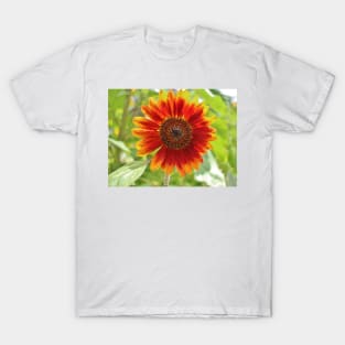 Firecracker Flower T-Shirt